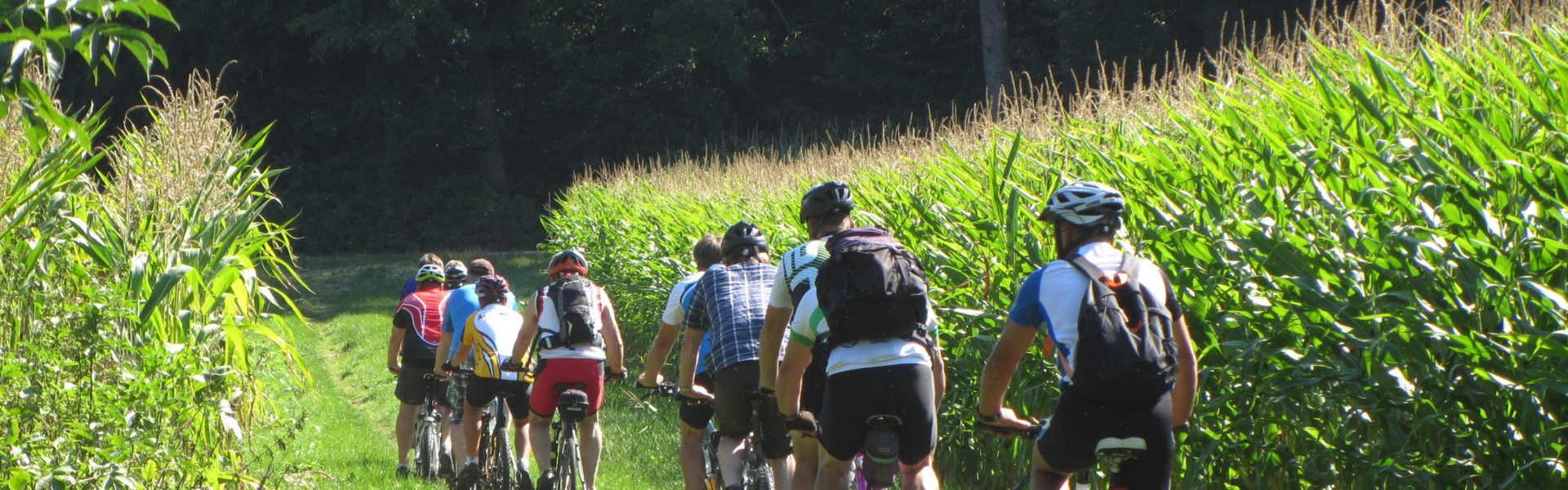 Hébergement "Accueil Vélo" au château la Plinguetière