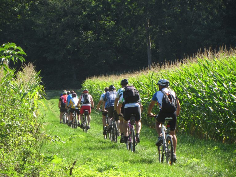 Hébergement "Accueil Vélo" au château la Plinguetière